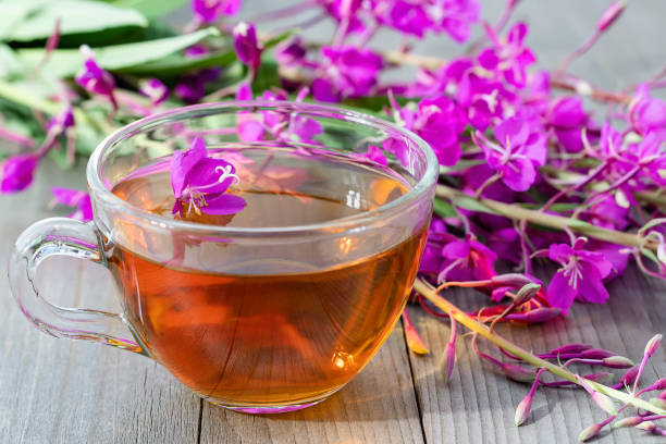 istock Fireweed herb known as blooming sally and tea in a cup 1321377139