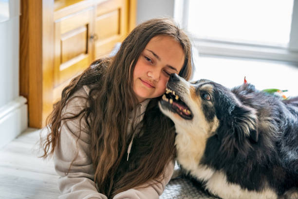 istock Thirteen year old girl with pet border collie 1321377171
