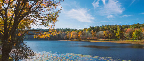 istock Autumn scenery with lake in the forest. 1321377243