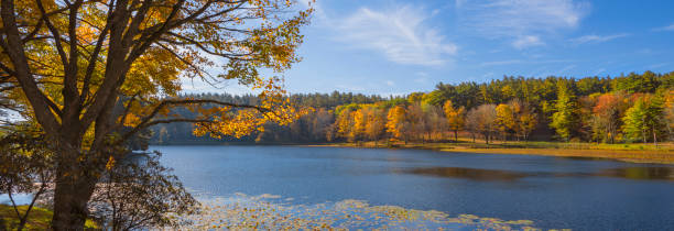 istock Autumn scenery with lake in the forest. 1321377245