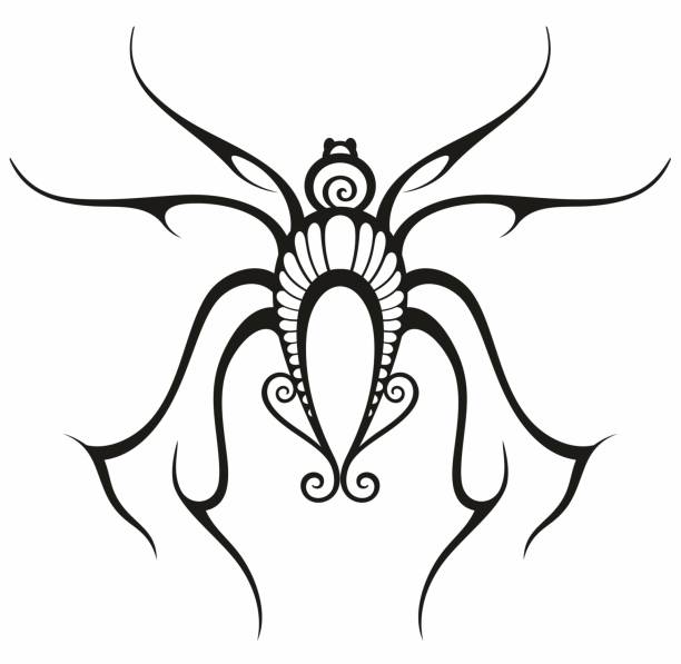 Tattoo spider Tattoo spider. Tattoo tribal vector design spider tribal tattoo stock illustrations