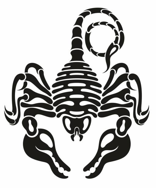 Scorpion Stock Illustration - Download Image Now - Indigenous Culture,  Scorpion, Abstract - iStock