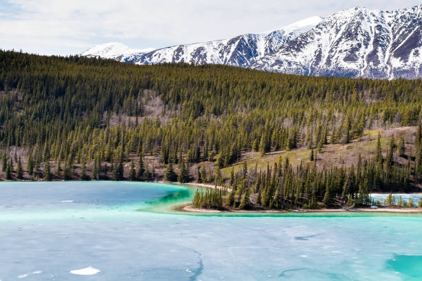 istock Emerald Lake and Surprise Mountain in Yukon, Canada 1321379704
