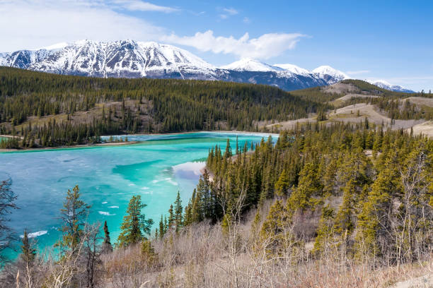 istock Emerald Lake and Surprise Mountain in Yukon, Canada 1321379726