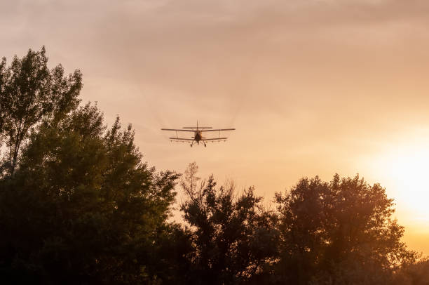 istock View on an old plane flying during the sunset 1321381475