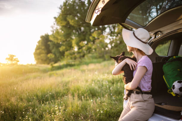 istock Traveling with my dog 1321384166