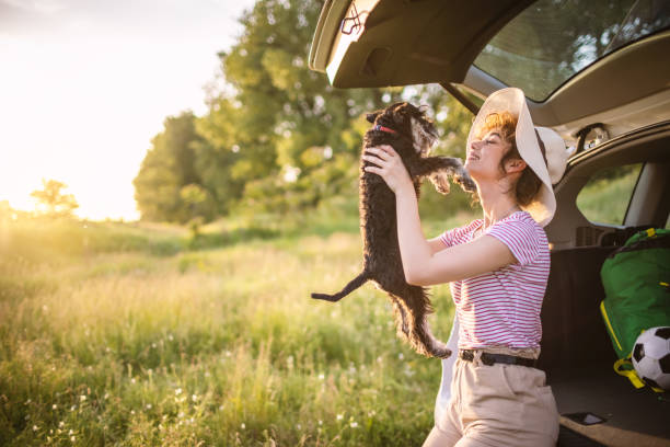 istock Traveling with my dog 1321384200