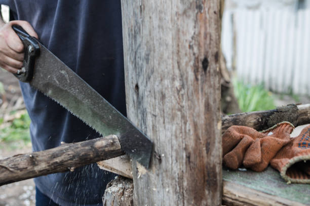 istock circumcised man sawing wood with a saw 1321390864