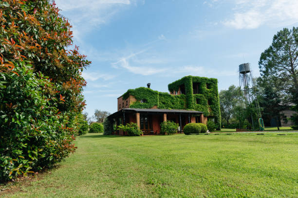 istock Country house in Argentina 1321395703