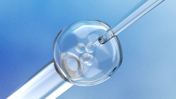 istock Microscopic View of Embryonic Cell and Needle 1321397379