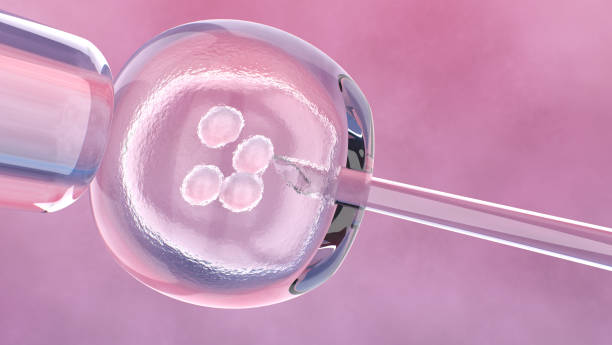 istock Microscopic View of Embryonic Cell and Needle 1321397388