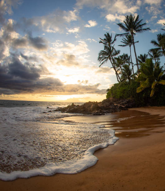 istock Sunset on a south Maui beach 1321399845