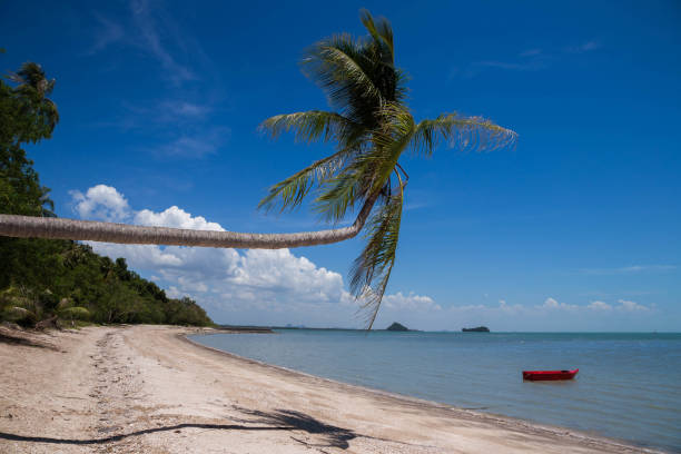 istock Beautiful white beach in Ivana Island, Batanes , Philippines 1321400121