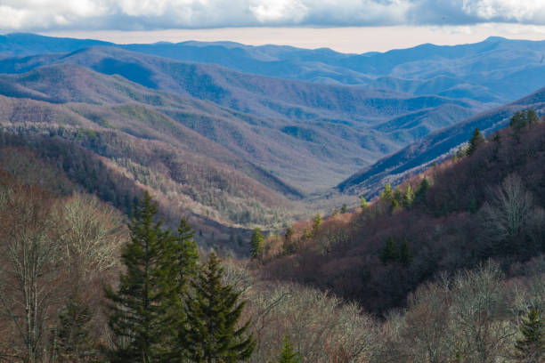 istock Winter Mountain Landscape in the Smokies 1321401588