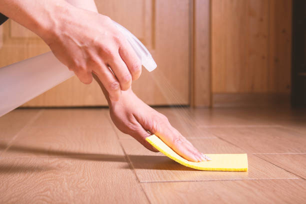 istock Woman cleaning ceramic floor with special spray. 1321402349