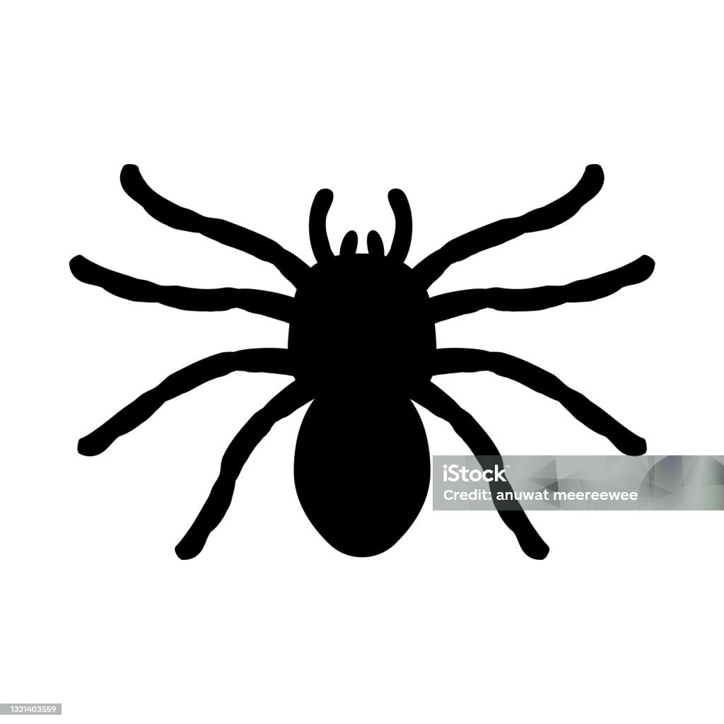 Hình Bóng Của Một Con Nhện Treo Trên Web Ý Tưởng Kinh Dị Ngôi Nhà ...