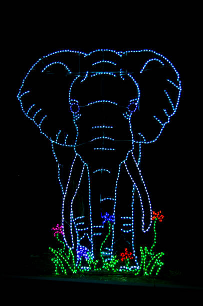 istock Decorative Color Outline of Elephant Using Discrete Lights Over a Black Background 1321406839