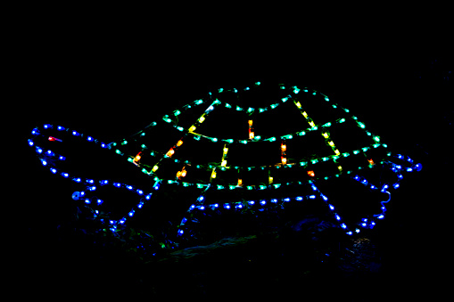 Glowing lights are showing the outline of a turtle.  This shot was taken at night and in the dark so the lights are obvious against the black background.