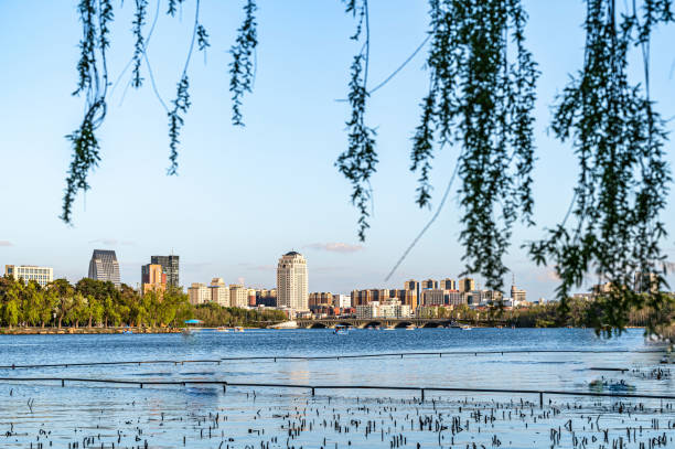 istock The scenery of Nanhu Park 1321411185