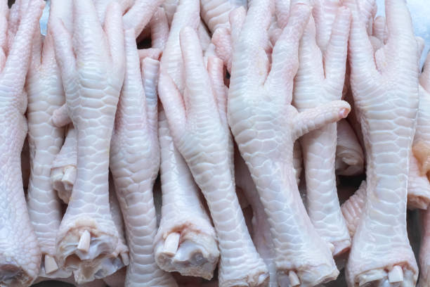 istock Chicken feet texture close up food background 1321417651