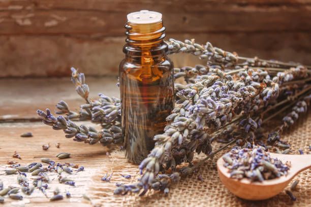 istock Lavender essential oil in a small bottle.selective focus. 1321427559