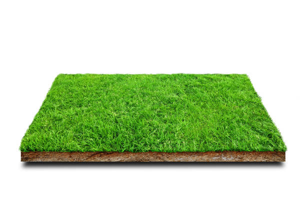 istock Square green grass meadow field covered brown soil ground isolated on white background. 1321429481