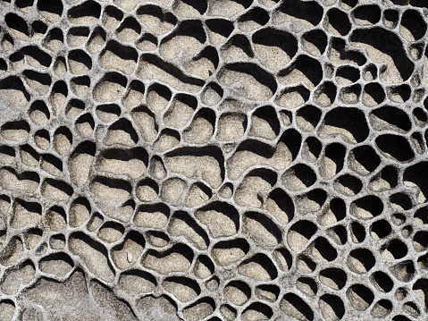 Sea side rock texture, macro