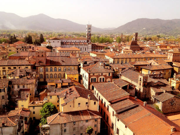 istock Top view of Lucca on a summer day. Italy. 1321434939