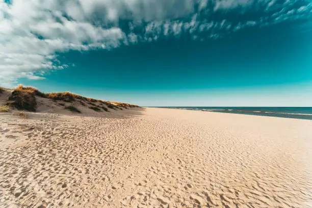 Amazing white sand beach in Sandhammaren, Sweden. Popular tourist destination in summer.