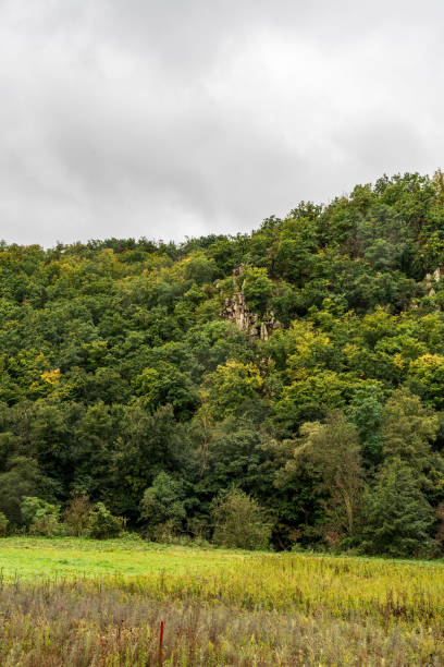 meadow with hill covered by forest with smaller rock formation bellow sobes vineyard in narodni park podyji in czech republic - narodni park imagens e fotografias de stock