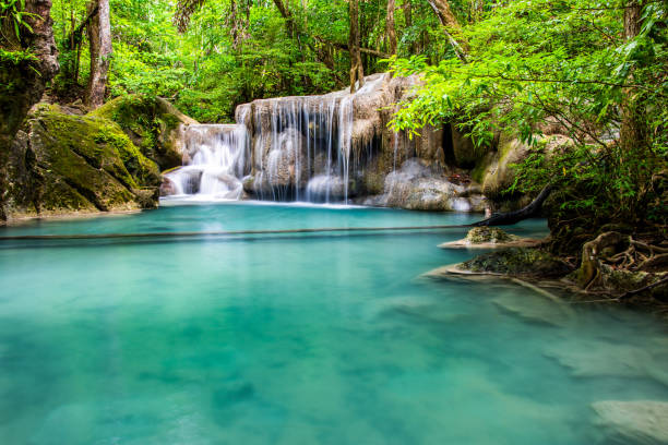 cascade au printemps avec couleur d’eau émeraude bleue dans le parc national d’erawan - waterfall tropical rainforest erawan thailand photos et images de collection