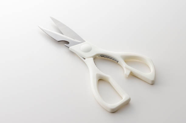 the white back photography of the kitchen tool - poultry shears imagens e fotografias de stock