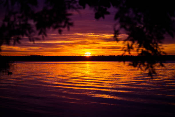 istock A beautiful sunset scenery at the lake with tree branch sihouette. 1321446946