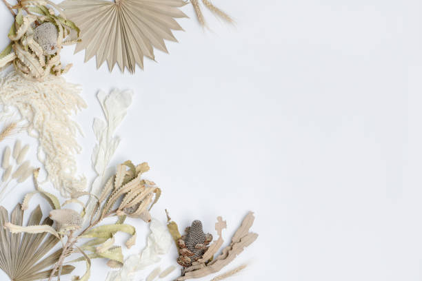 Beautiful Dried flower flatlay arrangement.