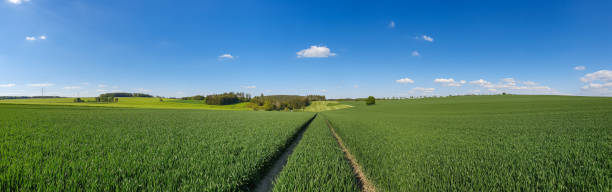 istock scenic panorama view of natural landscape under a cloudy sky 1321452384