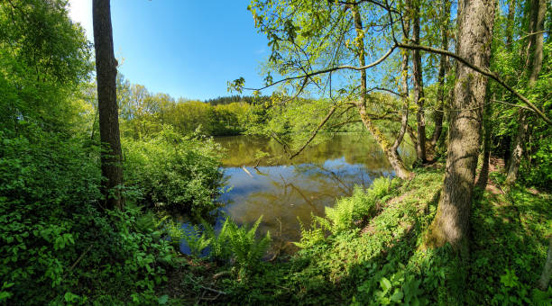 istock scenic panorama view of natural landscape under a cloudy sky 1321454177