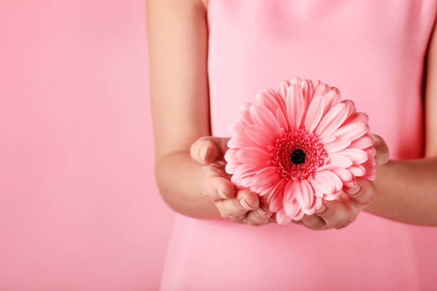 istock Beautiful pink flower in hands on pink background 1321454692