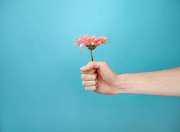 istock Male hand with pink flower in hand on  blue background 1321454699