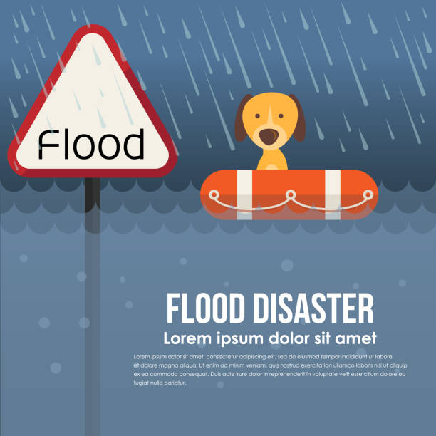 illustrations, cliparts, dessins animés et icônes de catastrophe d’inondation avec bannière d’avertissement d’inondation et chien sur lifebuoy dans l’eau de crue et la conception de vecteurs de pluie - safe ride