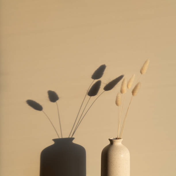 istock Fluffy dried pom pom bunny tail grass in vase on sunset. Shadows on the wall. Minimal boho style home decor. 1321456219