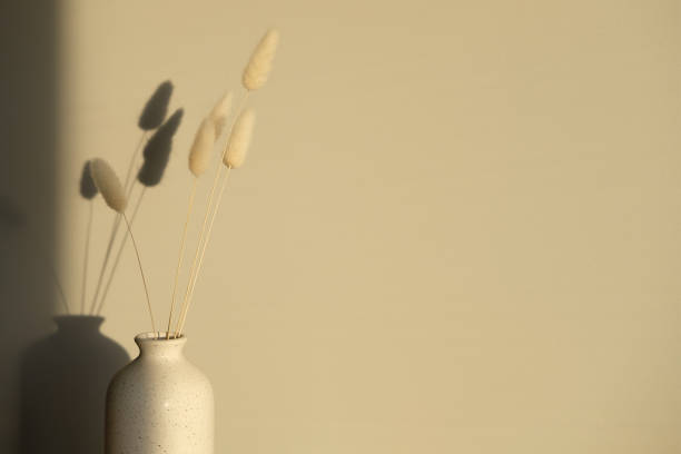 istock Beige dried bunny tail grass on vase at sunset. Shadows on the wall. Minimal boho style home decoration. 1321456221