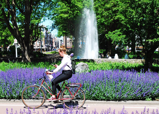 Woman riding her bike in the center of Amsterdam passing by a street full of lavender flowers. Every year in springtime, the city bursts into colour as millions of flowers bloom, creating one of the world's most unique sights.