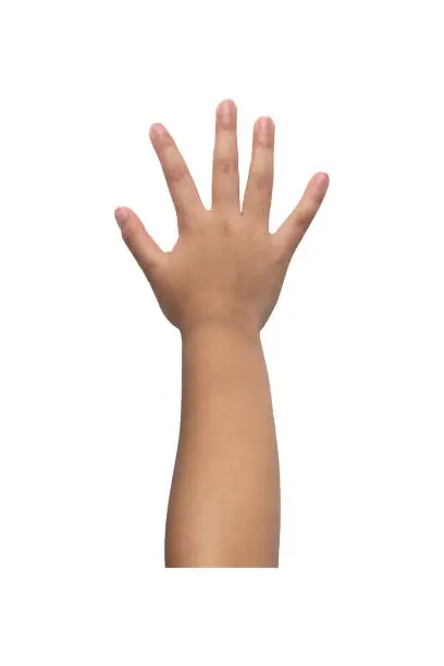 Photo of Little girl arm including hand fingers and thumb, the part of body isolated on white background with clipping path