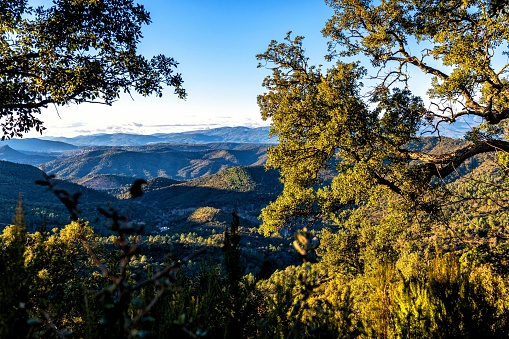 View from forest valley in Esterel, France.