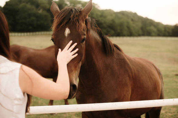 istock Young woman with horse 1321463606