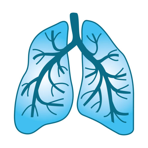 голубые человеческие легкие. значок иллюстрации вектора. - human lung audio stock illustrations
