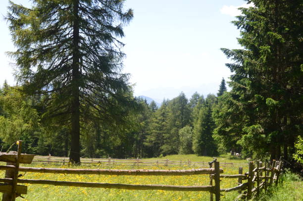 istock Beautiful landscape in Southtyrol 1321466528
