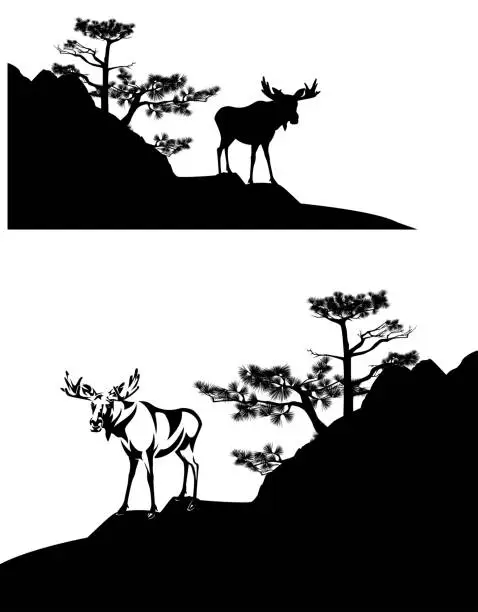 Vector illustration of black vector silhouette of wild moose buck on pine tree cliff