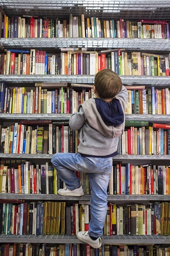 Badajoz, Spain - October  18th, 2020: Child boy climbing bookshelves at second hand book bookshop. Encourage good reading habits in kids