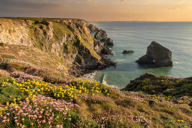 istock Beautiful landscape image during Spring golden hour on Cornwall coastline at Bedruthan Steps 1321472169